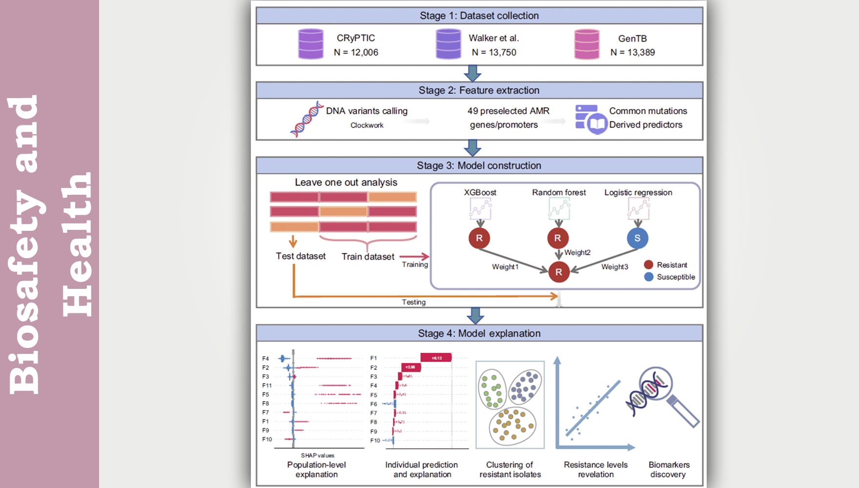 营养与健康所生物医学大数据中心开发可解释性结核耐药分析模型